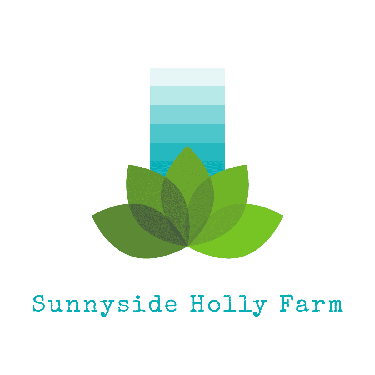 Sunnyside Holly Farm